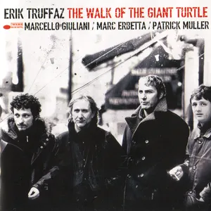 The walk of the giant turtle